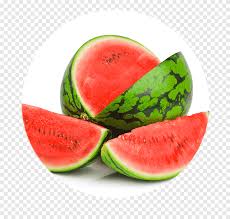 Sumber gambar berkendara di jalan raya saat ini seperti uji nyawa, melamun sedikit saja bisa menjadi pemicu kecelakaan. Watermelon Fruit Salad Cantaloupe Honeydew Watermelon Natural Foods Food Png Pngegg