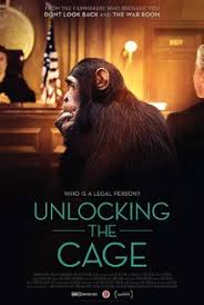 Malcolm and jarad talk about their motivations to start the metal band unlocking the truth and share what makes them differ from kids their age. Unlocking The Cage Wikipedia