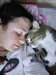 נסראללה היפה שלי😍