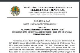 Contoh soal cpns twk bela negara. Jadwal Skb Cpns Kementerian Lhk Diumumkan Apa Saja Tesnya Halaman All Kompas Com