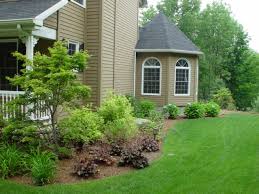 Landzine Looking For Just The Right Landscaping Plant Landscaping Around House Backyard Landscaping Designs Yard Landscaping