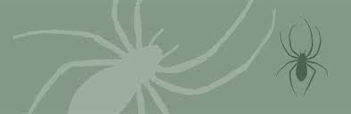 Jul 01, 2021 · naturkundemuseum leipzig bestätigt: Spinnen Arachnida Araneae Rote Liste Zentrum