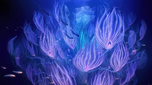 Metkayina Spirit Tree | Avatar.com