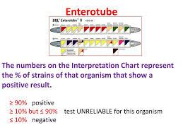 Ppt Enterotube Powerpoint Presentation Free Download Id