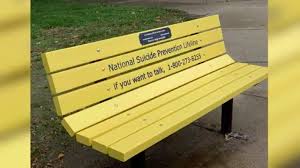 Park bench kids yellow skorts 3t 100% cotton. New Park Bench Provides A Suicide Prevention Message And A Place To Rest