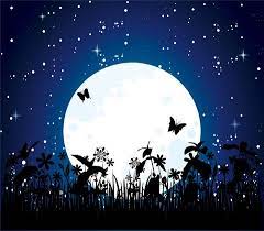 First Come Flowers Moon Garden Beautiful Moon Night Garden