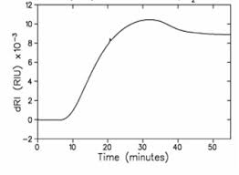 Why use refractive index detection? Application Of Refractive Index Detection For Uhplc To Identify And Quantitate Molecular Species Of A Sample Source