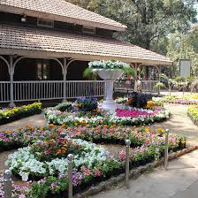 My little sister put the bottle at the window and went to play with her doll. Empress Garden Picnic Spot In Pune Lbb Pune