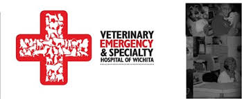 At skaer veterinary clinic, delivering personalized and compassionate pet health care is in our dna. Pet Care Services In Wichita Ks Pet Day Care Pet Sitting Services Doggy Day Care Home Pet Care Dog Day Care In Wichita Ks