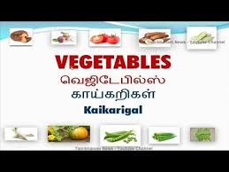 Vocabulary About Vegetables With Pictures Including Tamil Meaning Youtube In 2020 Vegetable Pictures Fruits For Kids Food Vocabulary