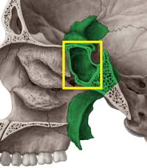 Pin On Sleep Apnea