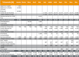 Exemple De Plan De Tresorerie Previsionnel Budget Previsionnel Budget Familial Creation Entreprise