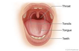 What causes recurring tonsillitis how to cure it. Sore Throat In Children Care Instructions