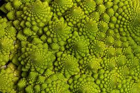 Early variety with a large, single head. Hd Wallpaper Romanesco Broccoli Cauliflower Vegetables Light Green Eat Wallpaper Flare