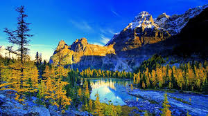 The great collection of 4k nature wallpaper for desktop, laptop and mobiles. Nature 4k Wallpapers Wallpaper Cave