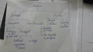 Make A Flowchart To Classify Mineral Resources Brainly In