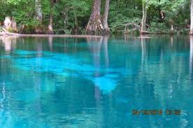 You can rent paddleboards, canoes and kayaks at the spring. One Of Many Springs On The Silver River Picture Of Silver Springs State Park Tripadvisor
