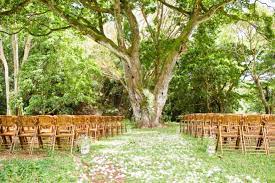 National Tropical Botanical Gardens Wedding Kauai Botanical Gardens Wedding Kauai Wedding Botanical Gardens