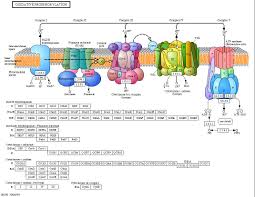 Biology - Davidson College