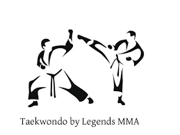 Basic Taekwondo Stances Explained Taekwondo Karate Martial Arts Kids