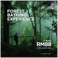 The habitat penang hill (penang island) : Jj In Da House Forest Bathing Experience The Habitat Penang Hill