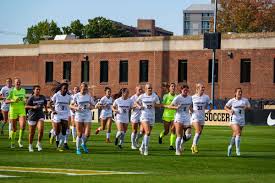 Image result for Deverra burchellii