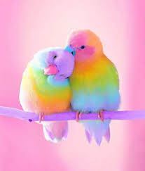 Red Table Talk Jordyn Woods Red Table Talk Tag Someone You Love In 2020 Cute Animals Baby Animals Pictures Cute Birds