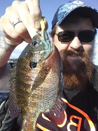 i ran out of all bait and the bait store is closed, does anyone have a  suggestion of what to use?