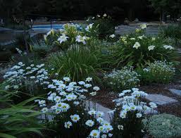 Pin On Moon Garden