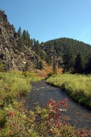 Önemli bilgiler black hills special svc. 38 Hike South Dakota Ideas South Dakota Hiking Dakota