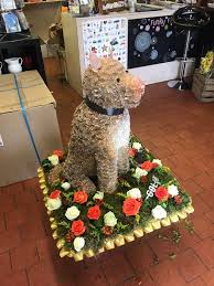 $50 for $100 toward prescription eyeglasses or sunglasses from bestbuyeyeglasses.com. Large 3d Sitting Dog Buy Online Or Call 01895 420912