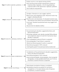 Diagnosis And Management Of Nephrotic Syndrome In Adults