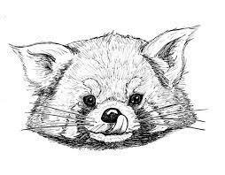 Coloring books colour for kids johanna basford colouring. Red Panda Art Therapy Coloring Book Coloring Books Art