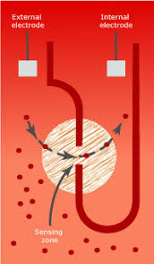 Hematocrit A Review Of Different Analytical Methods