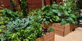 Drawing your vegetable garden layout may sound like a lot of work, but it really isn't difficult. Vegetable Garden Design Ideas Landscaping Network