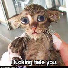 Pin On Inspiration Hilarity