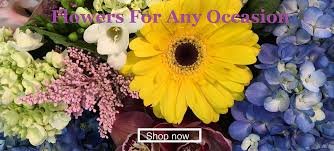Order flowers with us is easy. Van Wees Mostly Roses Woodstock On Florist