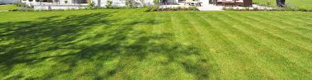 Free quotes for lawn care, yard grading, lawn treatment, yard maintenance, turf renovation & gardening. Lawn Care Services Prime Cut Lawn Care Boca Raton Fl Lawn Services Landscaping