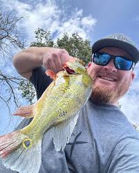 Florida peacock bass fishing update and spawn information