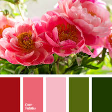 The color psychology of pink. Color Palette 3322 Color Palette Ideas