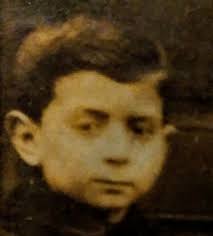 Rosen Family History: Last Name Origin & Meaning