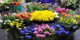 Go beyond the beach and discover the city of sarasota, florida. Grower Bunch Buys Beneva Flowers Sarasota Florida Florist