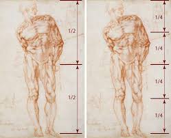 To view scroll down the page and click on the individual icons below to go to specific anatomical areas. How To Measure Proportions Of A Human Body Anatomy Master Class