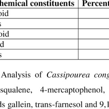Image result for Cassipourea congoensis