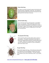We did not find results for: Different Types Of Stink Bugs