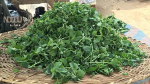 Ndudu By Fafa The Healthiest Molokhia Ademe Ewedu Jute Soup Recipe Ever Soup Recipes West African Food African Food