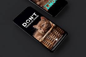 Cute animals such as cats are also in fashion. Cute Cats Mobile Wallpaper Dont Touch My Phone