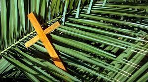Consulte la información sobre dia ramos alfaro marquez s.l. Semana Santa La Iglesia Catolica Celebra Otro Domingo De Ramos En Pandemia Nanduti
