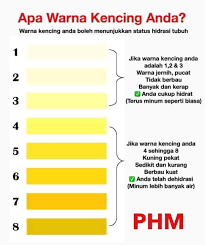 Air kencing yang sehat biasanya berwarna jernih hingga kuning muda. Klinik Putramedic Apa Warna Air Kencing Anda Panasnya Cuaca Hari Ini Padahal Tadi Hujan Pastikan Anda Mengambil Air Yang Mencukupi Hari Ini Anda Berisiko Untuk Mendapat Strok Haba Jika Tidak