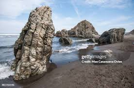 309 Sandy Soto Stock Photos, High-Res Pictures, and Images